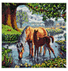 Malen nach Zahlen Bild Ponys im Fluss - CAK-SC1 von Craft Buddy