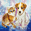 Malen nach Zahlen Bild Katzen und Hunde  - PBN5050A von Craft Buddy