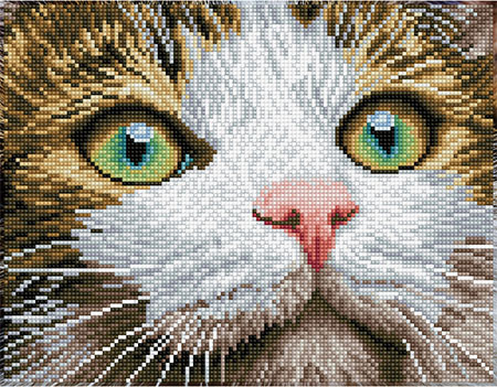 Malen nach Zahlen Bild Diamond Dotz - Katze mit grnen Augen - 2591505 von Diamond Dotz