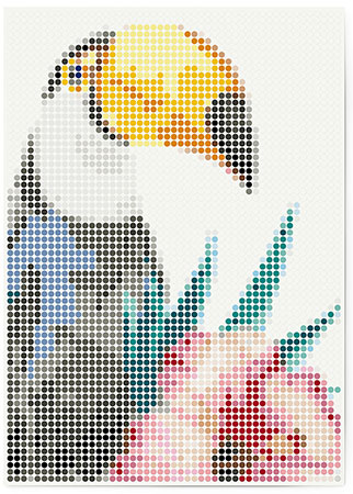 Malen nach Zahlen Bild DOT ON ART - Tukan - tropic-toucan-XL von Dot On