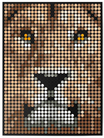 Malen nach Zahlen Bild DOT ON ART - Lwe - wild-lion-L von Dot On
