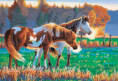 Malen nach Zahlen Bild Pferde am Morgen - 91417 von Sonstige