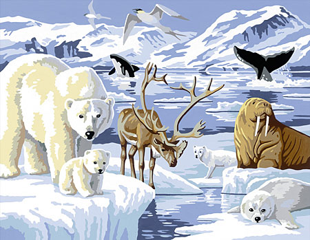 Malen nach Zahlen Bild Tiere der Arktis - 28422 von Ravensburger