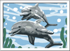 Malen nach Zahlen Bild Freundliche Delfine - 28468  von Ravensburger