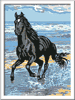Malen nach Zahlen Bild Pferd am Strand - 28565 von Ravensburger
