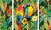 Malen nach Zahlen Bild Papageien im Regenwald (Triptychon) - 609260853 von Schipper