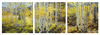 Malen nach Zahlen Bild Goldener Oktober - Triptychon - 609470829 von Schipper
