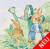Malen nach Zahlen Bild Peter Rabbit mit dem Rotkehlchen - PBN-PRBT01 von Craft Buddy