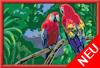 Malen nach Zahlen Bild Bunte Papageien - 23770 von Ravensburger