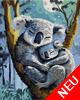 Malen nach Zahlen Bild Koala mit Baby - 609240907 von Schipper