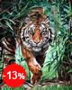 Malen nach Zahlen Bild Gefhrlicher Tiger - WD310 von Artibalta