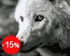 Malen nach Zahlen Bild Weißer Wolf  - F011 von Artibalta