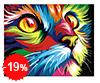 Malen nach Zahlen Bild Regenbogenfarbene Katze - S066 von Artibalta